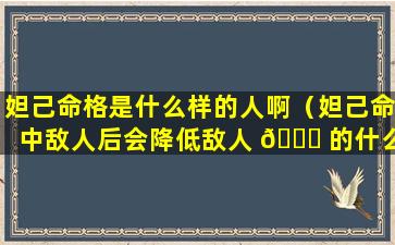 妲己命格是什么样的人啊（妲己命中敌人后会降低敌人 🍀 的什么属性）